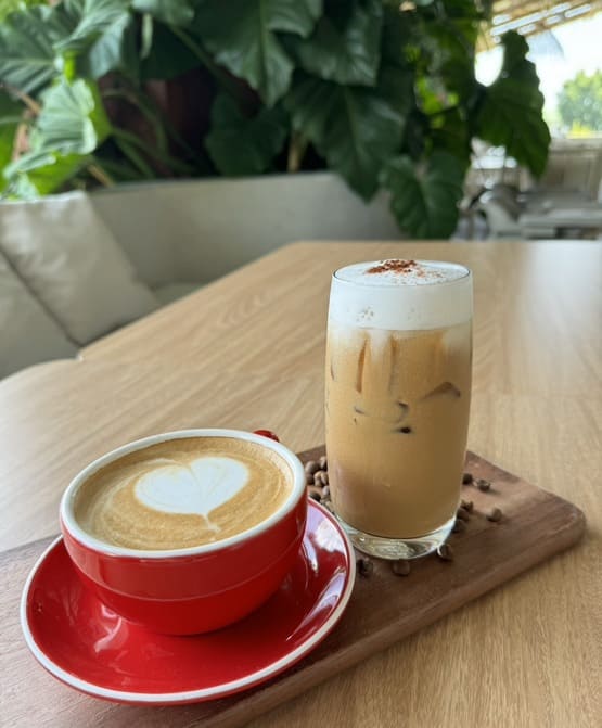 Hot/Iced Coffee